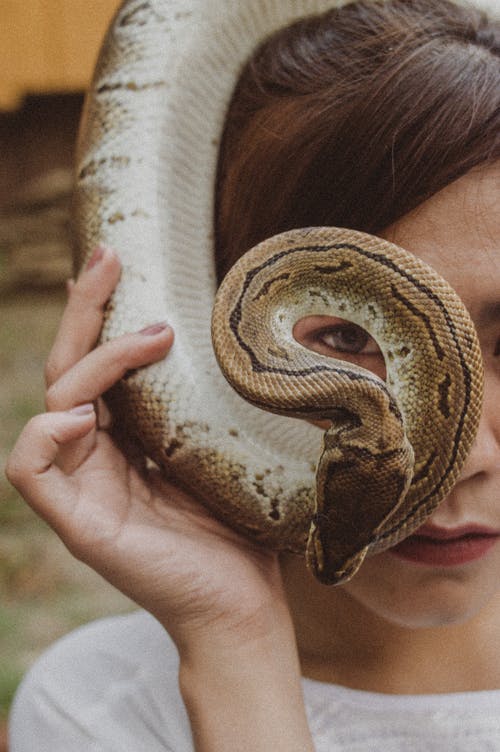 女人抱着棕蛇 · 免费素材图片
