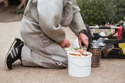 地面养蜂人与地面上的蜜蜂吸烟者 · 免费素材图片