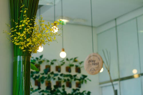 室内的黄色花墙装饰 · 免费素材图片