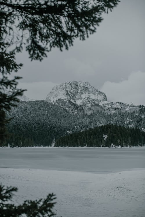 针叶树与冰冻的湖面下的雪山顶 · 免费素材图片