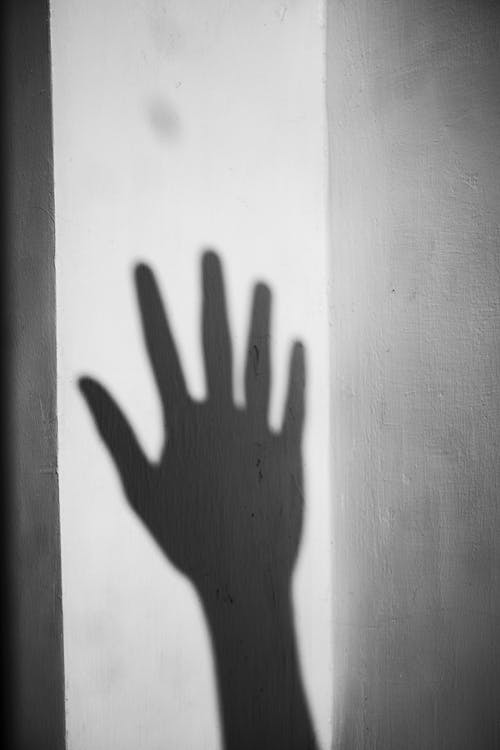 有关bw, 不露面, 光的免费素材图片