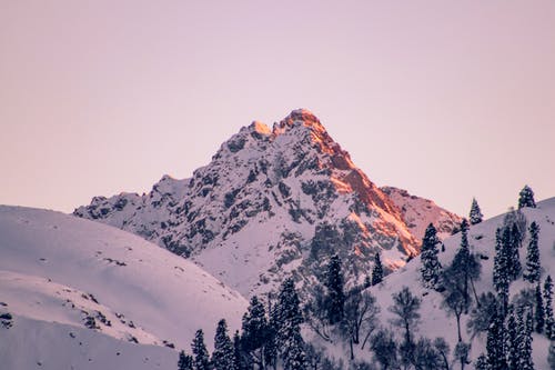 有关冬季, 大雪覆盖, 天性的免费素材图片