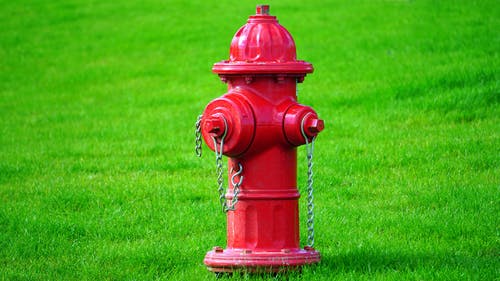 绿草场上的红色消防栓 · 免费素材图片