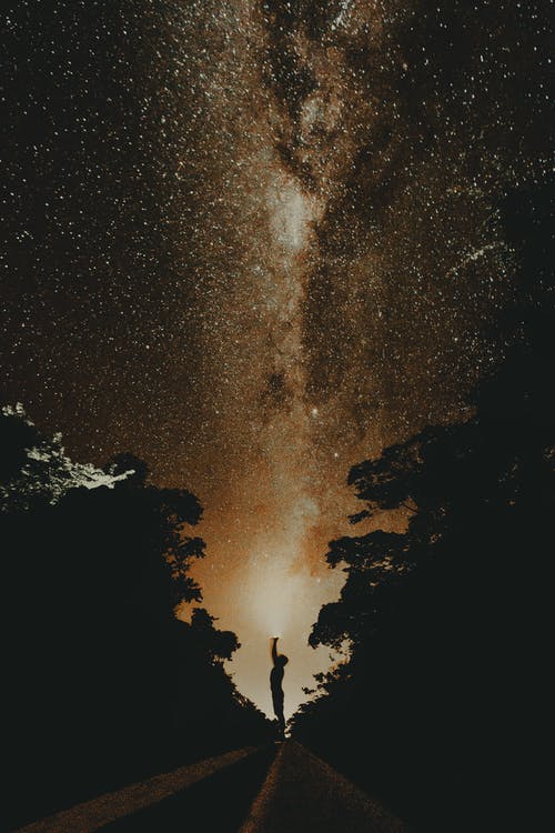 繁星之夜下的树木剪影 · 免费素材图片