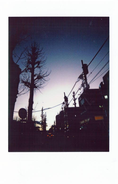 建筑物的轮廓照片 · 免费素材图片