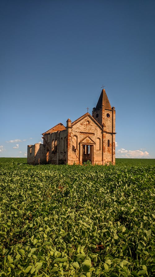 在绿色的原野上的棕色混凝土教堂 · 免费素材图片