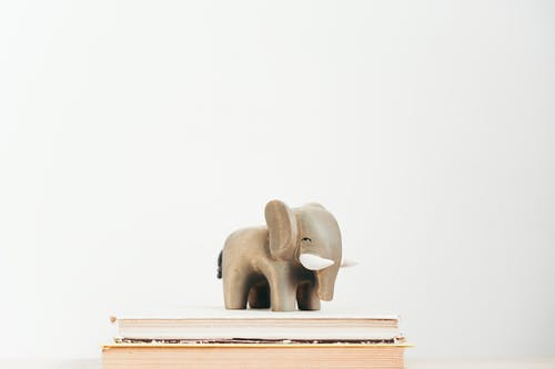 书上的动物雕像 · 免费素材图片