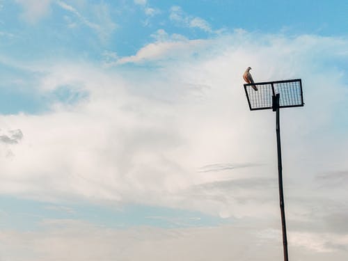 有关休息, 低角度拍摄, 光的免费素材图片