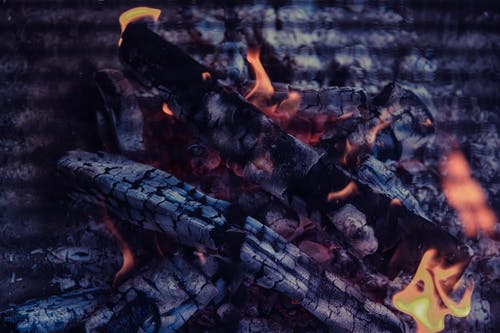 有关木炭, 柴火, 火的免费素材图片