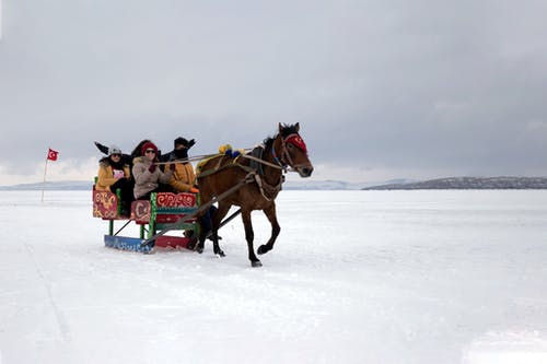 在积雪的地面上骑马的人 · 免费素材图片