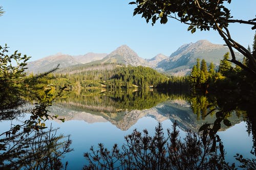 有关不变, 冷静, 反射的免费素材图片