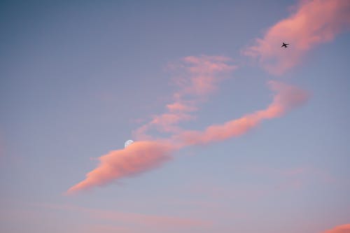 飞机在蓝天下飞翔 · 免费素材图片
