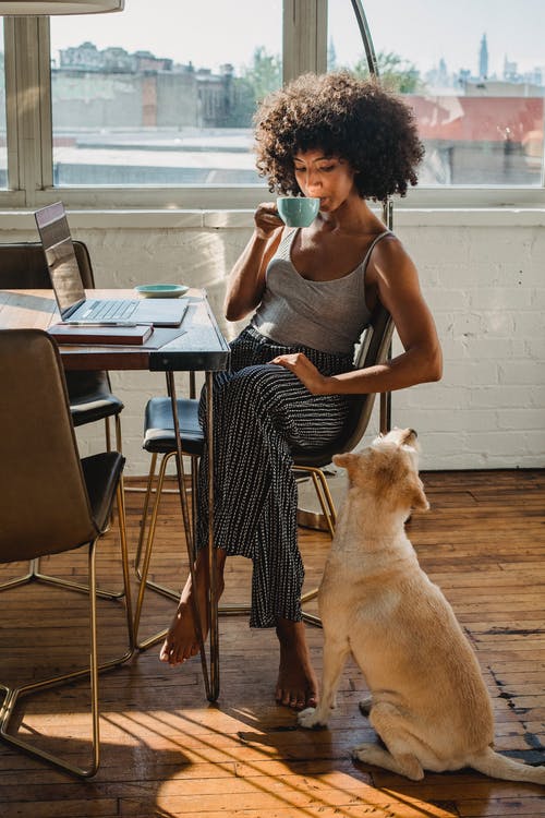 黑人自由职业者在室内在笔记本电脑和狗附近喝咖啡 · 免费素材图片