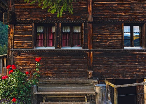 红色花瓣花的棕色木房子的门廊 · 免费素材图片