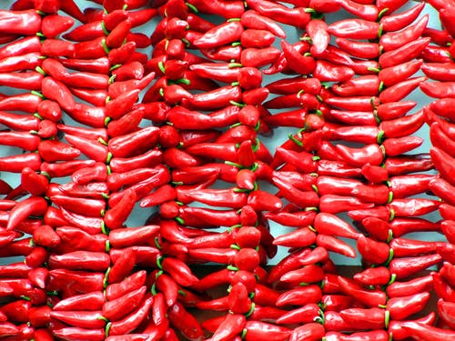 红辣椒 · 免费素材图片