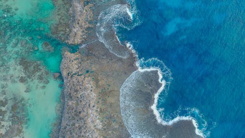 鸟瞰海洋 · 免费素材图片
