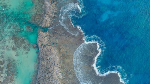 鸟瞰海洋 · 免费素材图片