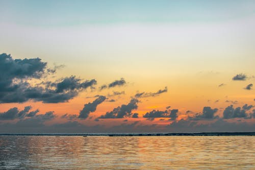 有关充满活力, 冷静, 华丽的的免费素材图片