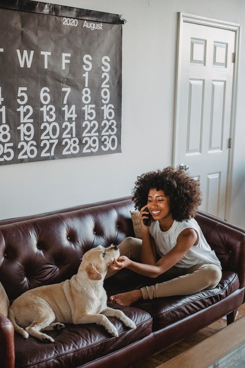 性格开朗的黑人妇女，在室内抚摸狗时讲智能手机 · 免费素材图片