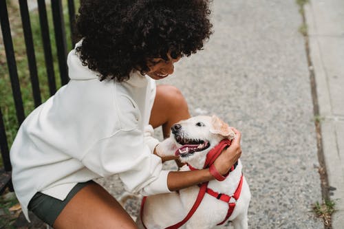 性格开朗的黑女人抚摸狗在大街上 · 免费素材图片