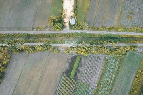 有关俯视图, 农事, 农艺学的免费素材图片