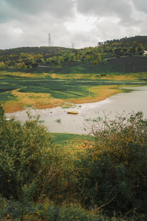 有关光, 和平的, 增长的免费素材图片