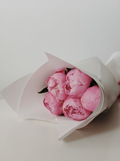 粉色花束 · 免费素材图片
