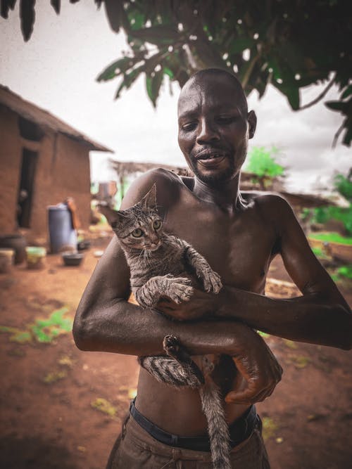 男子携带虎斑猫 · 免费素材图片