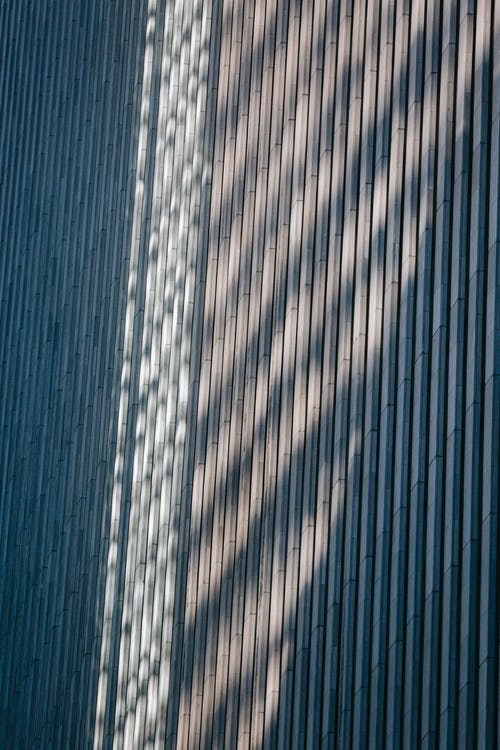 有关中央, 从下面, 低角度的免费素材图片