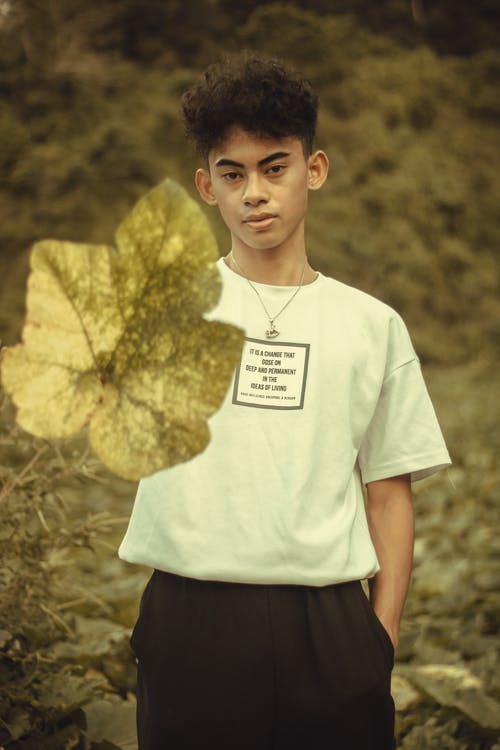 有关垂直拍摄, 大叶子, 户外的免费素材图片