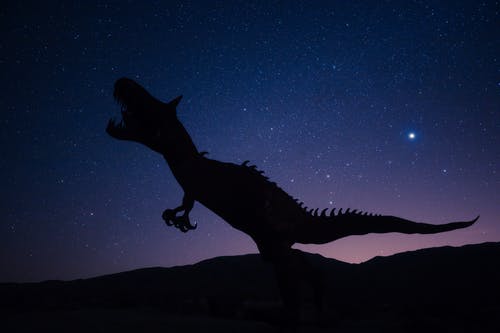 恐龙在夜空上的剪影 · 免费素材图片