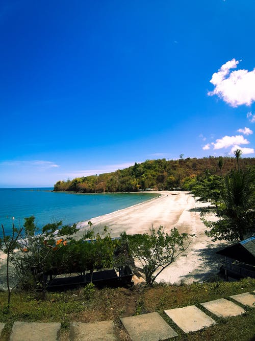 水体附近森林的鸟瞰摄影 · 免费素材图片