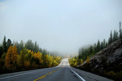 空雾中的乡间小路 · 免费素材图片