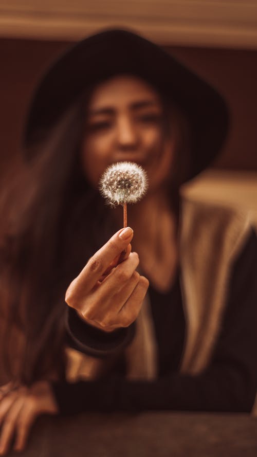 女人穿着黑色的长袖上衣，拿着白色的蒲公英花 · 免费素材图片