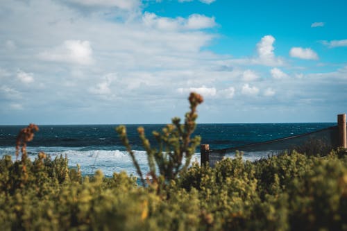有关土耳其蓝, 壮观, 多云的的免费素材图片