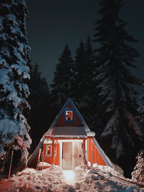 在夜间森林中间的棕色木屋 · 免费素材图片
