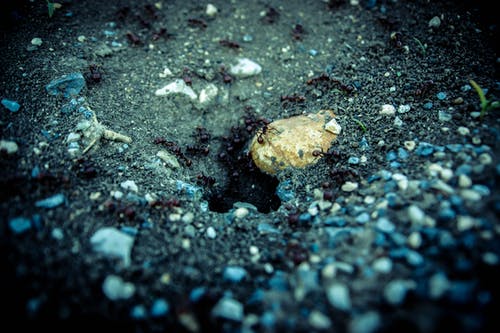 黑沙上的棕色石头 · 免费素材图片