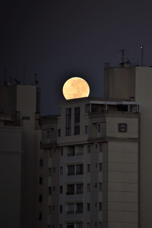 有关垂直拍摄, 夜空, 天文学的免费素材图片