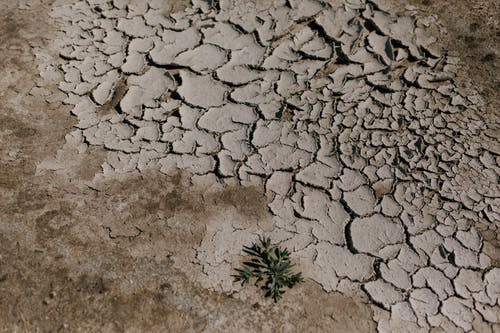 沙漠地区干裂的地面 · 免费素材图片