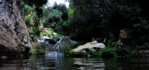 石头和树木包围的河 · 免费素材图片