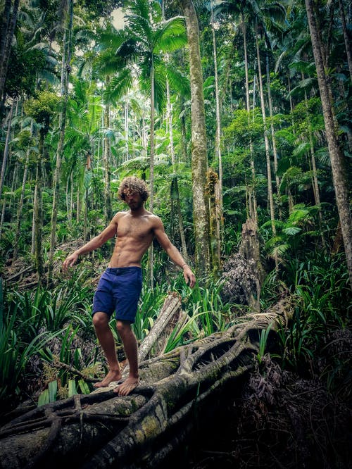 男子站在原木上 · 免费素材图片