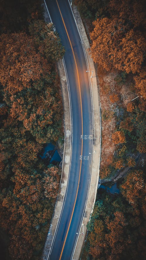 树木之间的道路鸟瞰图 · 免费素材图片