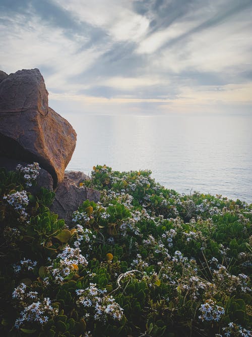 白天海边的照片 · 免费素材图片