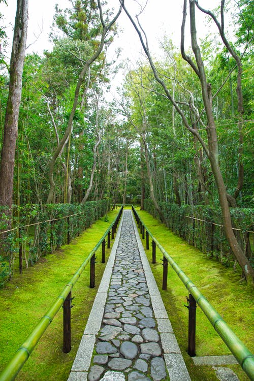 大德寺禅宗花园的狭窄路径 · 免费素材图片