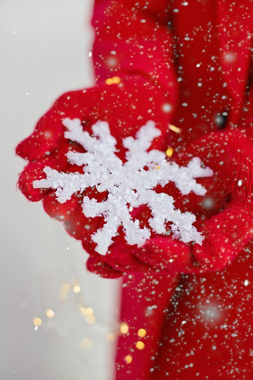 拿着雪花的人 · 免费素材图片