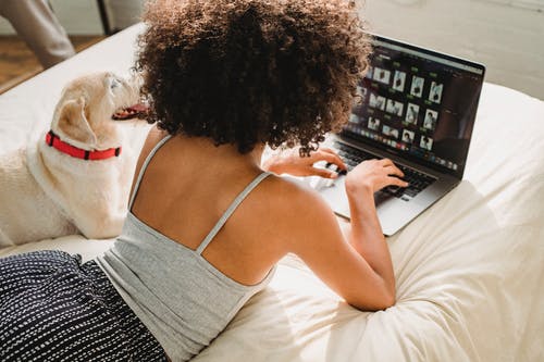 黑人妇女浏览有狗的膝上型计算机在床上 · 免费素材图片