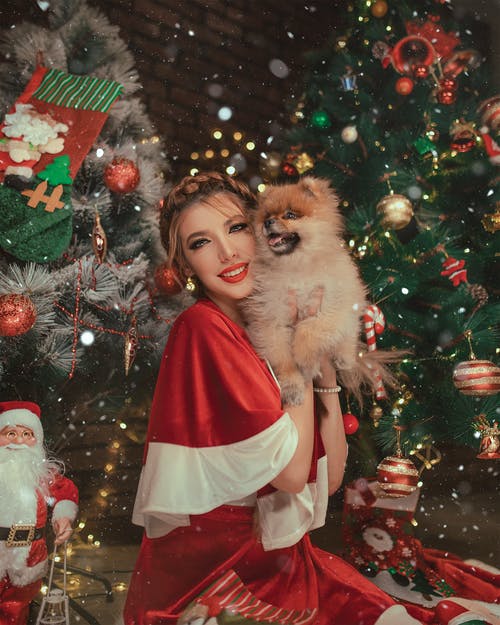女人抱着圣诞树旁边的狗 · 免费素材图片