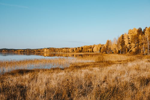 有关俄国, 天性, 景观的免费素材图片