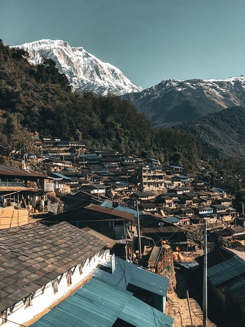 有关垂直拍摄, 天性, 户外的免费素材图片