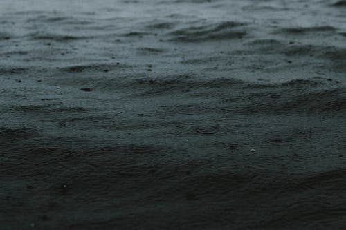 有关凝结, 反射, 和平的的免费素材图片